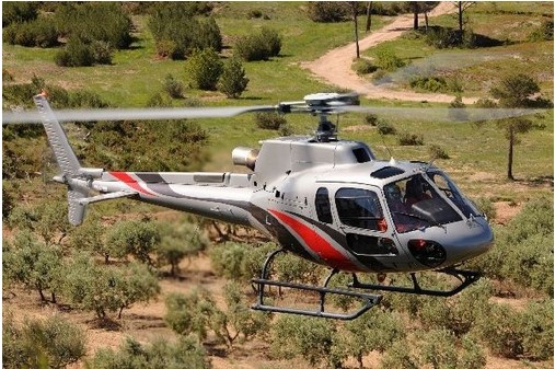 1501138277632013389.jpg 95.jpg