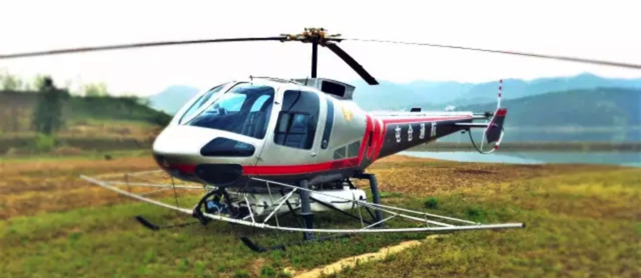 1501554593362016848.jpg 21.jpg